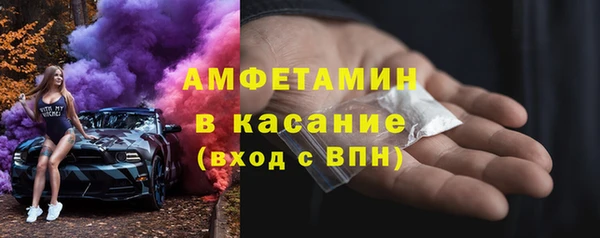 прущие грибы Курчалой